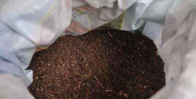 花土里有小飞虫怎么办 盆栽泥土有虫怎么办？4个“小方法”彻底消灭，花疯长，健康茂盛