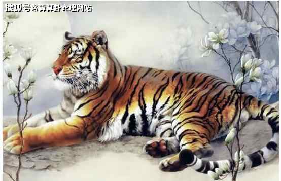 2010年出生是什么命 2010年出生的属虎人命运如何？八字预测几月出生最好（图解）