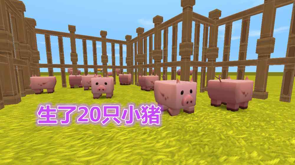 迷你世界的猪吃什么 迷你世界：玩家饲养8只猪，意外生了20只小猪，网友：太能生了！
