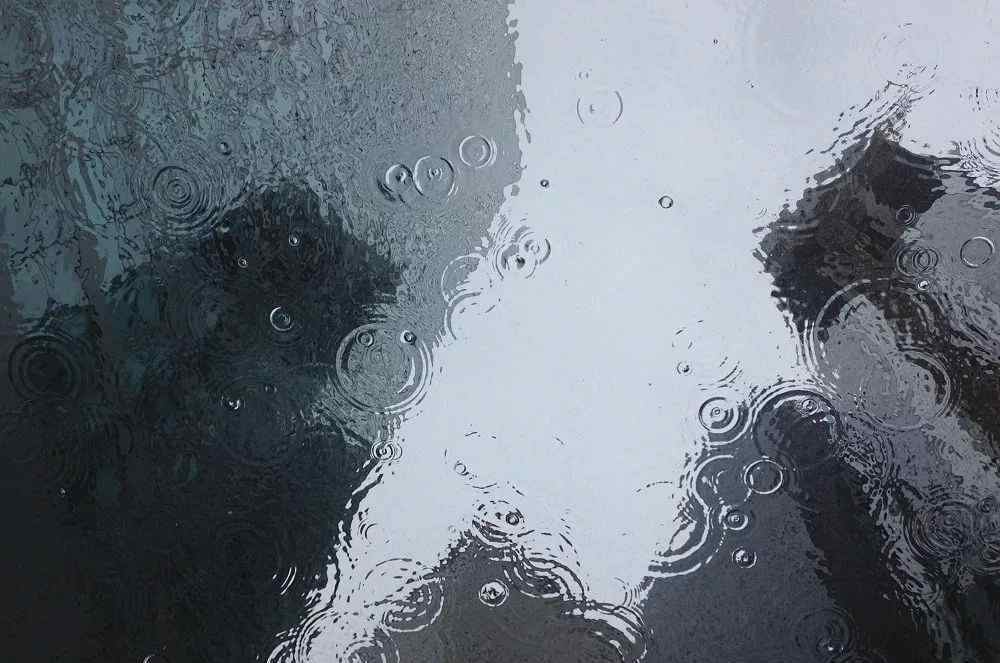 阳光总在风雨后的感悟 阳光总在风雨后