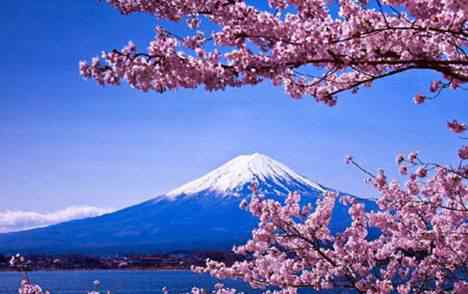 富士山是私人的吗 富士山竟然属于私人所有