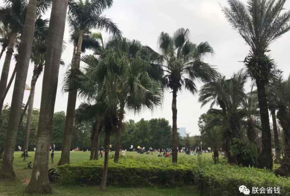 深圳荔香公园 深圳这4个冷门主题公园，只有10％的人知道！