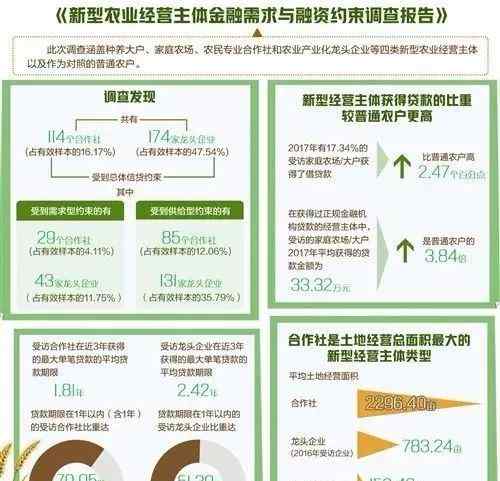 合作社贷款 114个合作社、174家龙头企业的贷款数据分析