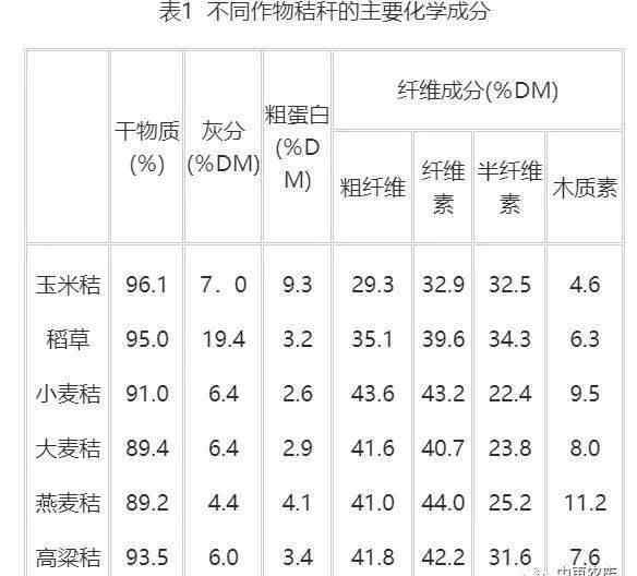 玉米秸秆深加工项目 2.4亿吨的年产量利用率却不足30％，玉米秸秆饲用化之路从何突破？