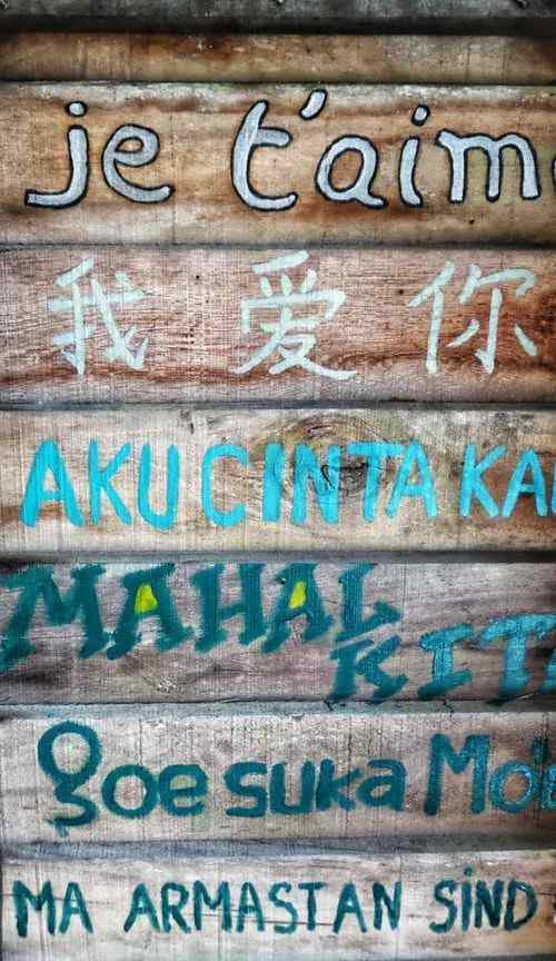 生存大冒险答案 荒岛生存大冒险，为爱甘愿当死宅