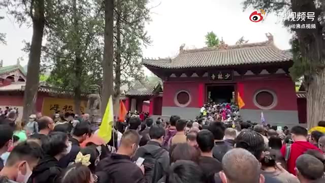 少林寺竹林被上百游客刻字数十人争相攀爬扭断幼竹 到底什么情况呢？