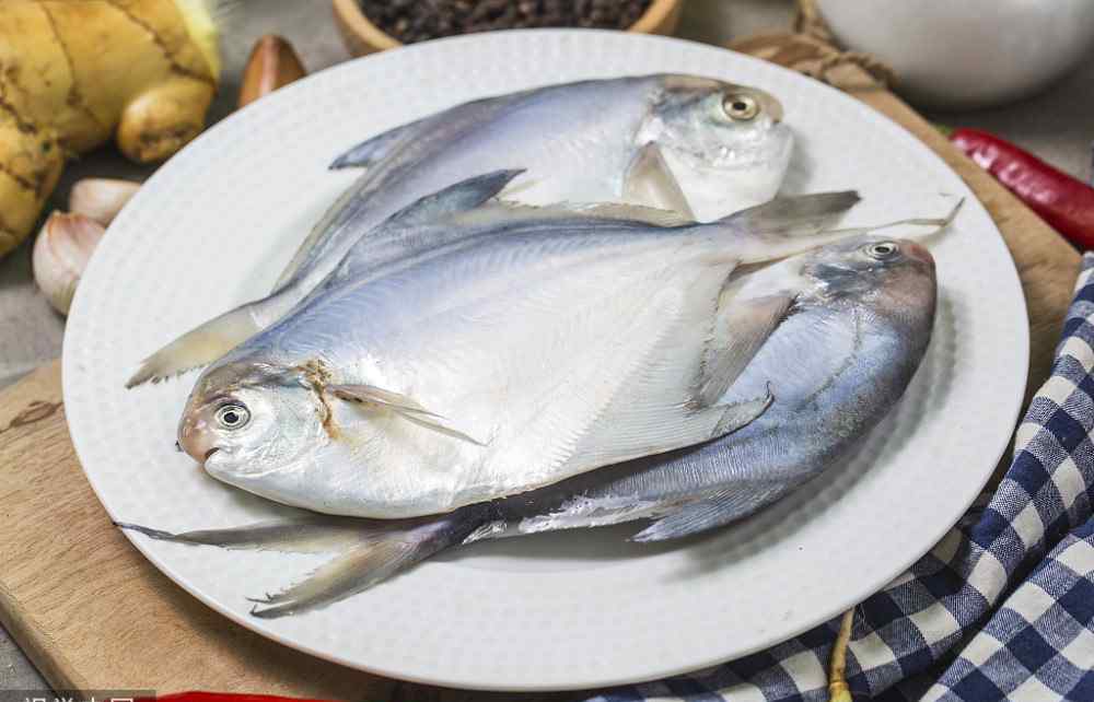 金鲳鱼的营养价值 鲳鱼的味道鲜嫩经常吃，但是为了身体健康，应了解一下它的营养价值及禁忌