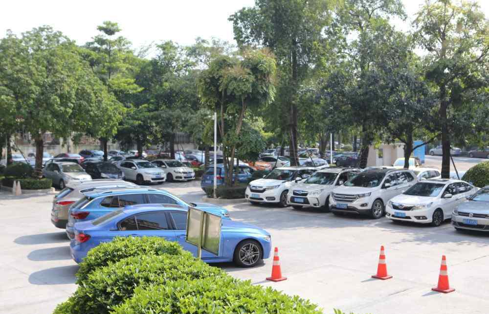 唐林灿 蓝光碧桂园锦泷湾红动全城千人到访均安