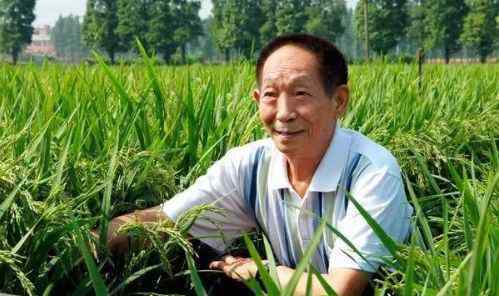 稻教是什么梗 “90后梗王”又上线！魔稻祖师身价千亿，却因十个螺“人设崩塌”？