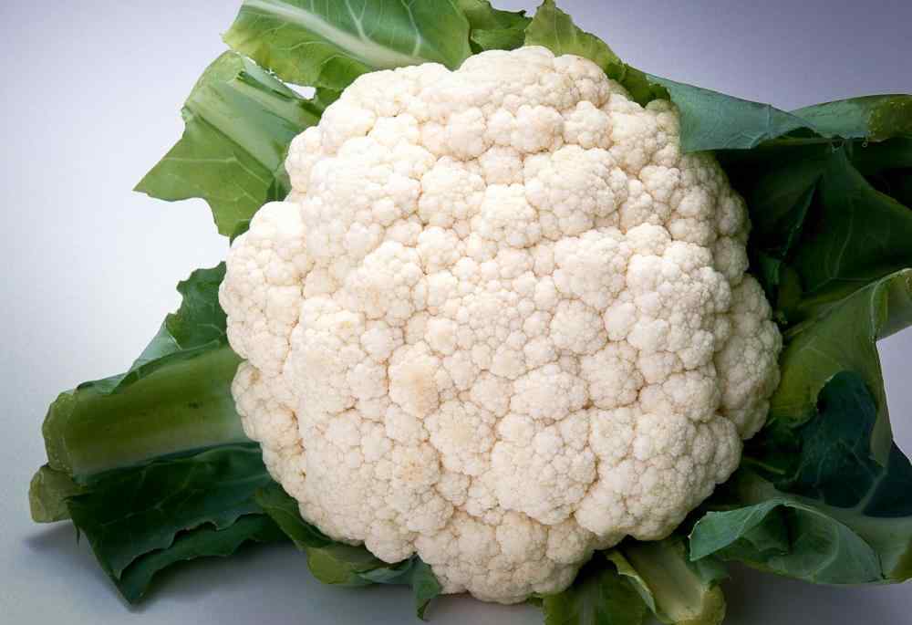 白花菜图片 你也爱吃白花菜吗？白花菜里“散花”和“紧花”有啥区别？