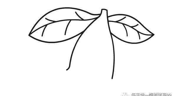 樱桃简笔画 每天学一幅简笔画-水果樱桃简笔画