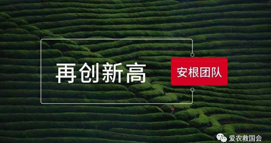 稻绿蝽 暖冬对农作物病虫害的影响