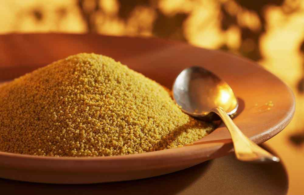 小米产地 吃的是小米还是黄金米？还要分产地买？