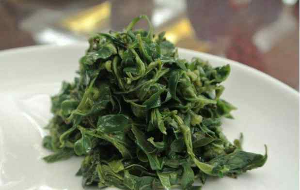 白苞蒿 荒野维生野菜系列——白苞蒿
