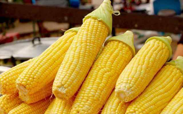 甜玉米转基因 甜玉米究竟是不是转基因玉米？