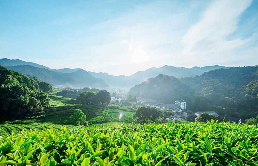旺克 贵州算命哪里准：人财两空，鸡飞蛋打的八字