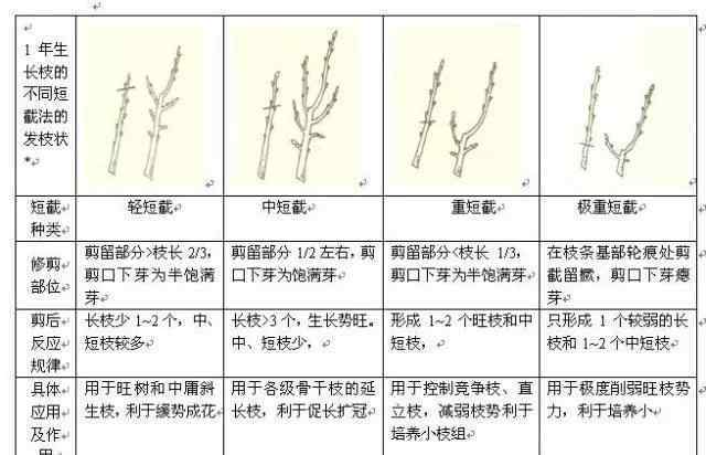 果树修剪技术 果树修剪入门，11种修剪技术详解