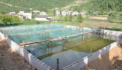 深度黄鳝养殖 黄鳝养殖:水泥池饲养的好处及其修建
