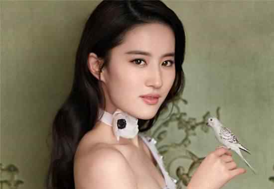 刘亦菲整容 刘亦菲整过容吗 刘亦菲整容前后照片对比
