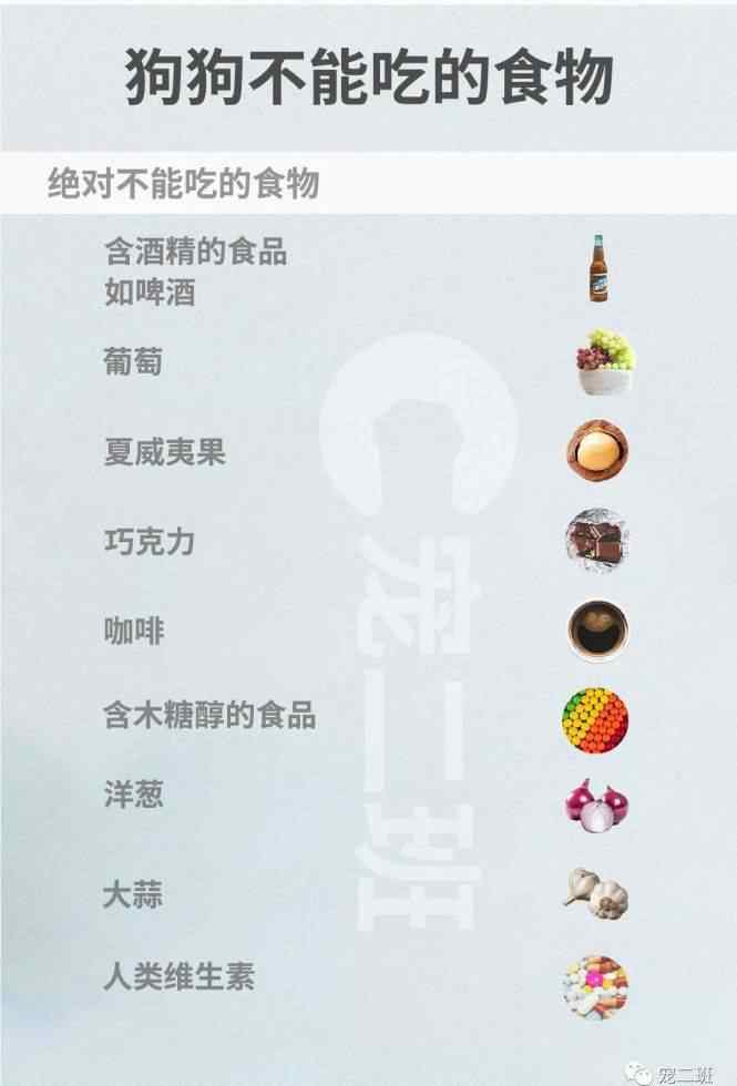 狗狗不能吃的东西 人吃的美食，狗狗能食用吗？最全的狗狗不能吃的东西文章配图