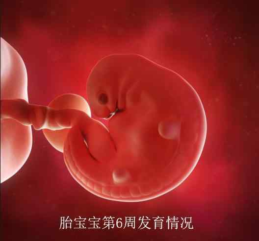 b超单上的秘密三数据 孕早期B超单上的这几个数据，孕妈看懂能知道胎儿的“小秘密”了