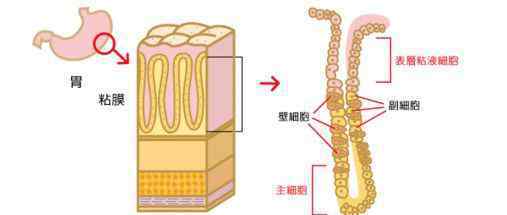 有胃病的人如何养胃 胃病总是反反复复？手把手教你如何养胃