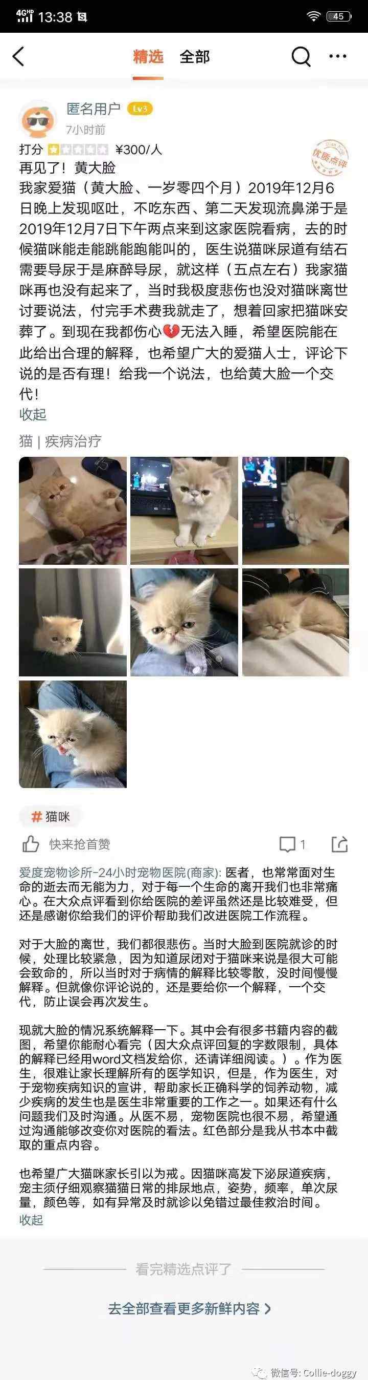 猫尿闭 关于尿闭猫猫突发死亡的情况说明文章配图