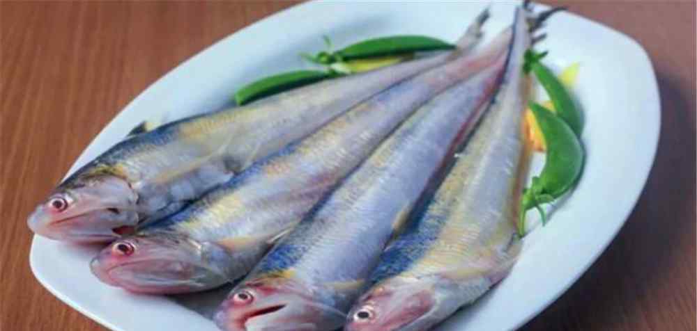 刀鱼养殖 长江刀鱼养殖已经成功几年了，为什么有人说在市场上没有见到？