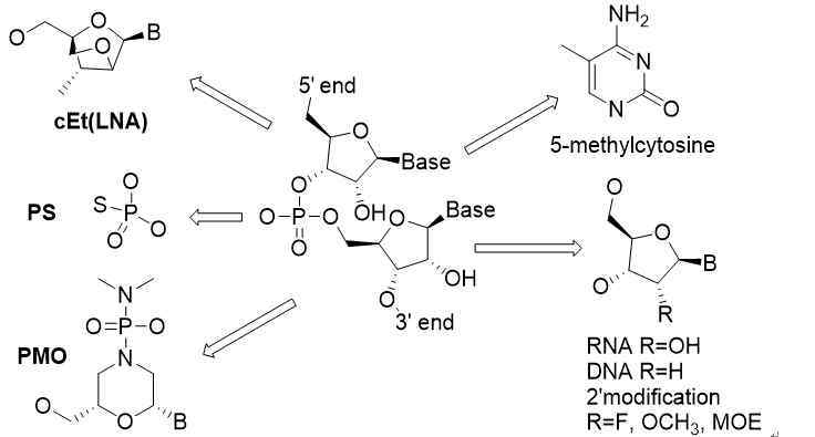 卟啉病人照片 生物科技的下个10年：RNA药物“王者归来”