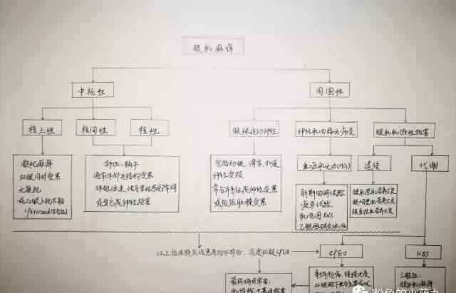 眼肌麻痹 眼肌麻痹之神经内科临床思维的诊断