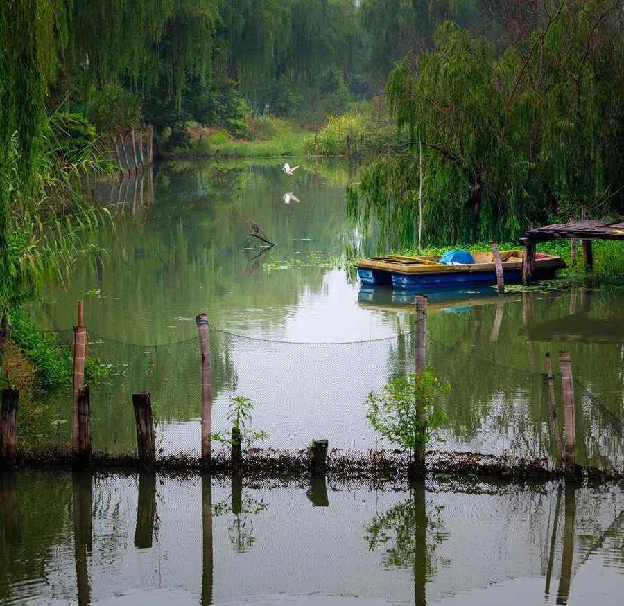 霜叶红于二月花是什么季节 一年四季，你最喜欢哪个季节呢？