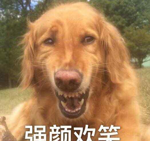 有有还有造句 最搞笑：要求用有……有……还有……造句文章配图