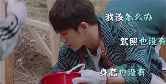 武艺的身高 武艺真实身高是多少 资料背景曝光