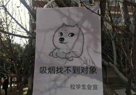 高校禁烟表情包 高校禁烟表情包新鲜出炉