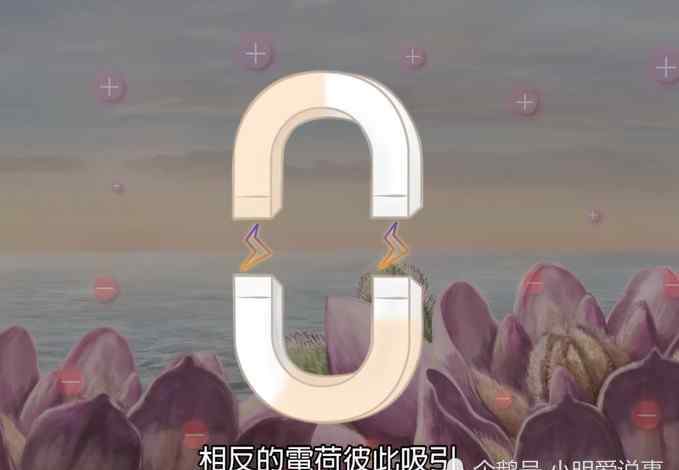 飞天蜘蛛 靠电力翱翔的飞天蜘蛛 可在空中飘飞数千英里