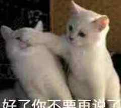 正宗意大利面 米其林大厨手把手教你做两种正宗意大利面