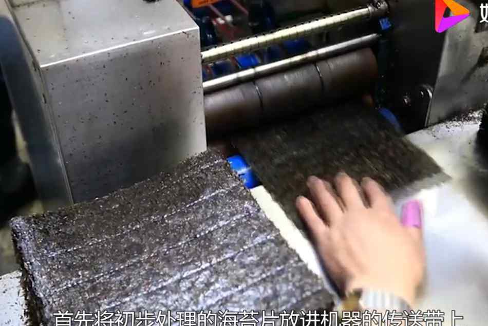 海苔是什么做的 吃了这么多年海苔，终于知道是怎么做出来的了，网友：贵得有道理！