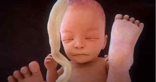 4个月堕胎 怀孕四个月后跪求医生打胎，真相背后的心酸