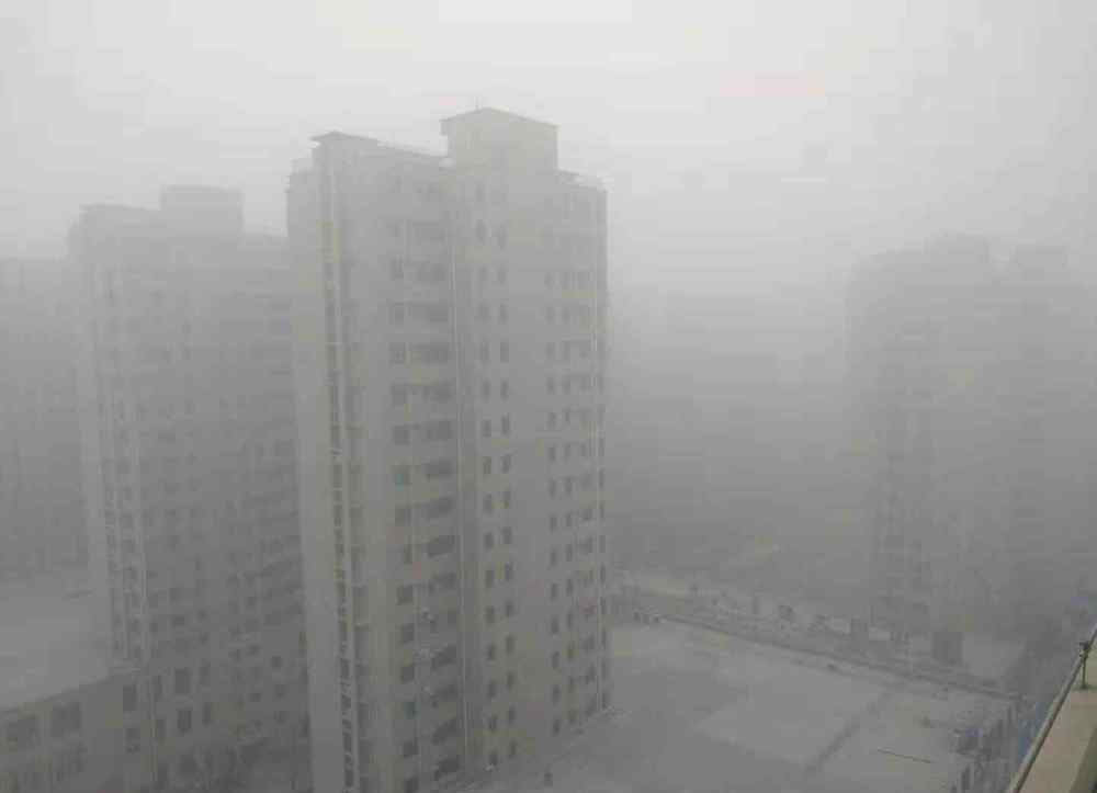 今天山东高速封闭了 山东发布大雾红色预警！这些高速出入口临时封闭