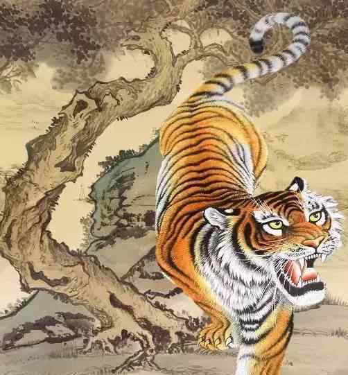 74年属虎人46岁运势 74年46岁属虎人：为什么命不好？
