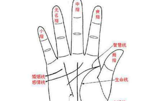 8宫看配偶家境 从手相八宫看一个人的事业姻缘