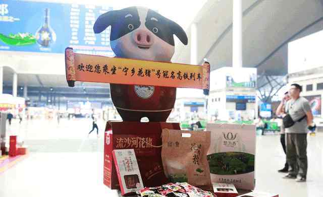 花猪 激动人心！“宁乡花猪”号高铁冠名列车长沙首发！宁乡人民沸腾了！