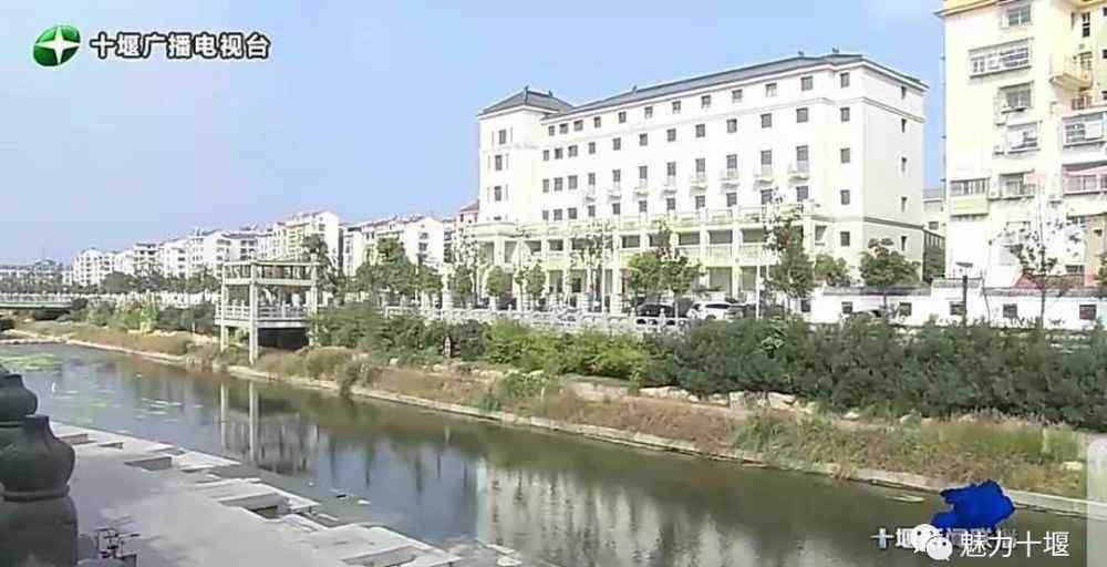 张慧莉 张慧莉：严格落实河长制 确保河畅水清岸绿景美