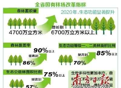 国有林场改革方案 217个国有林场划为公益一类二类