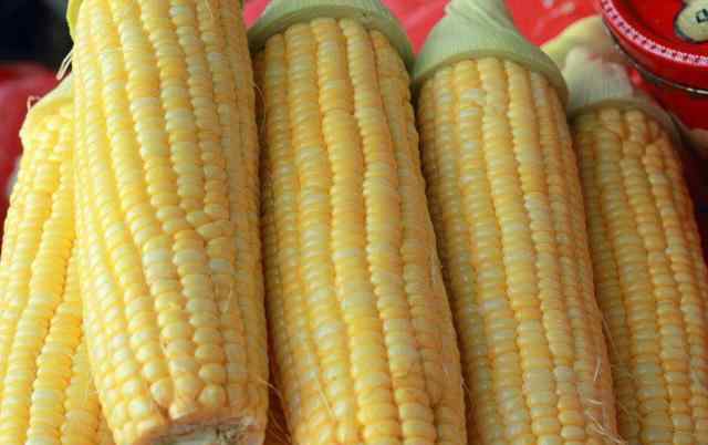 甜玉米转基因 甜玉米究竟是不是转基因玉米？
