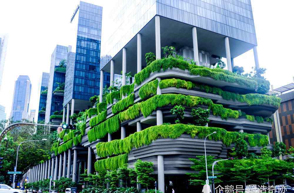 生态建筑 新加坡：领衔生态建筑，精美绝伦