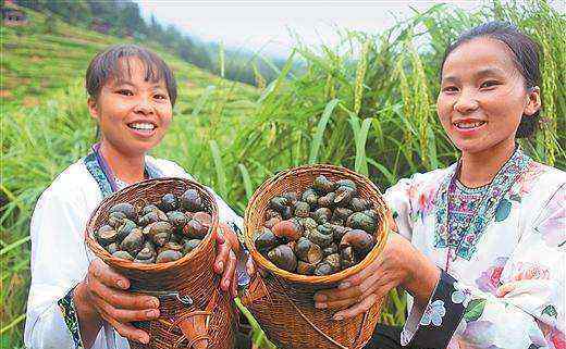 致富经一亩地赚60万 致富经变“致负经”：亩产4000斤，一年轻松赚10万，农民大叔亏惨了