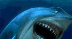 derived 说点儿大实话！HABA最爱的角鲨烷难道真的来自鲨鱼？