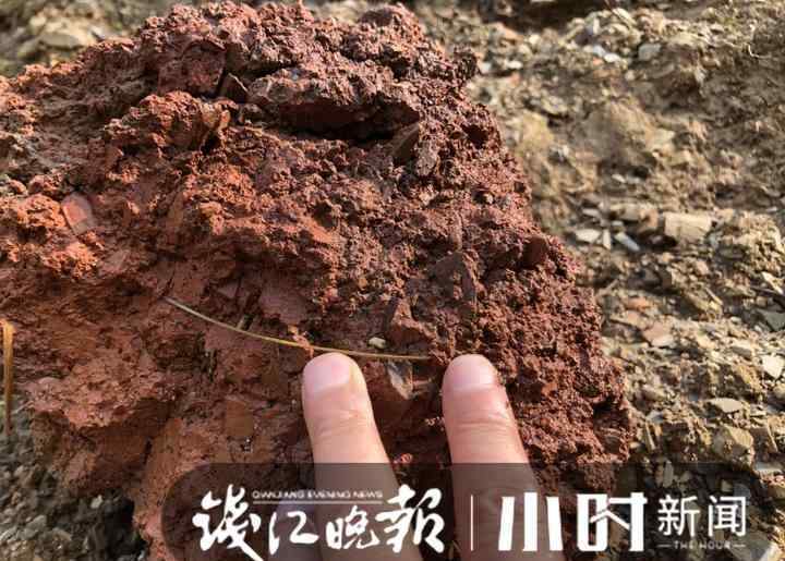tektite 浙江临安惊现比钻石还贵的陨石？专家：需进一步分析
