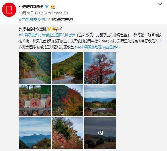 172巷 一个村子开出172家民宿，他们如何杜绝竞争？